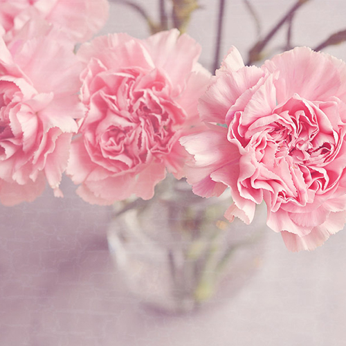 画像が見つかりません。